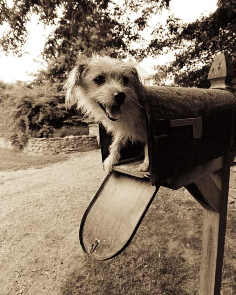 You ve got mail art print by Jim Dratfield for $57.95 CAD