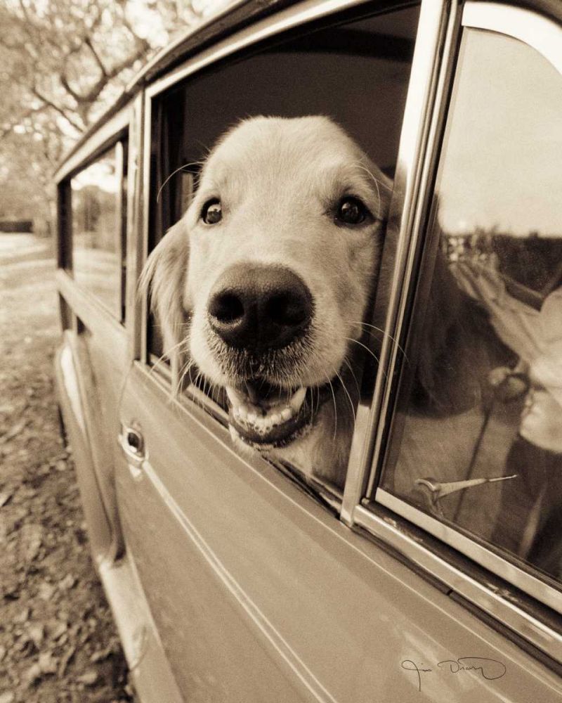 Are we there yet art print by Jim Dratfield for $57.95 CAD
