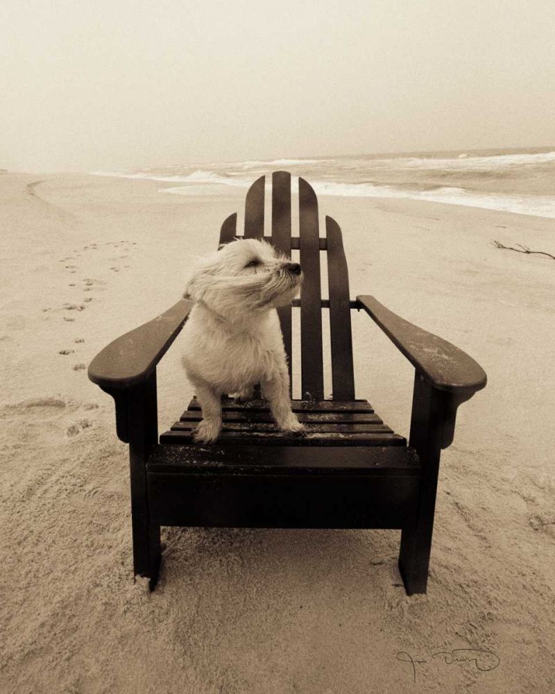 Lifes a beach art print by Jim Dratfield for $57.95 CAD