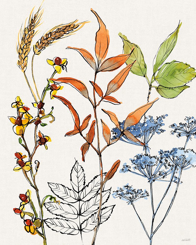 Fall Sweet Fall VI art print by Anne Tavoletti for $57.95 CAD