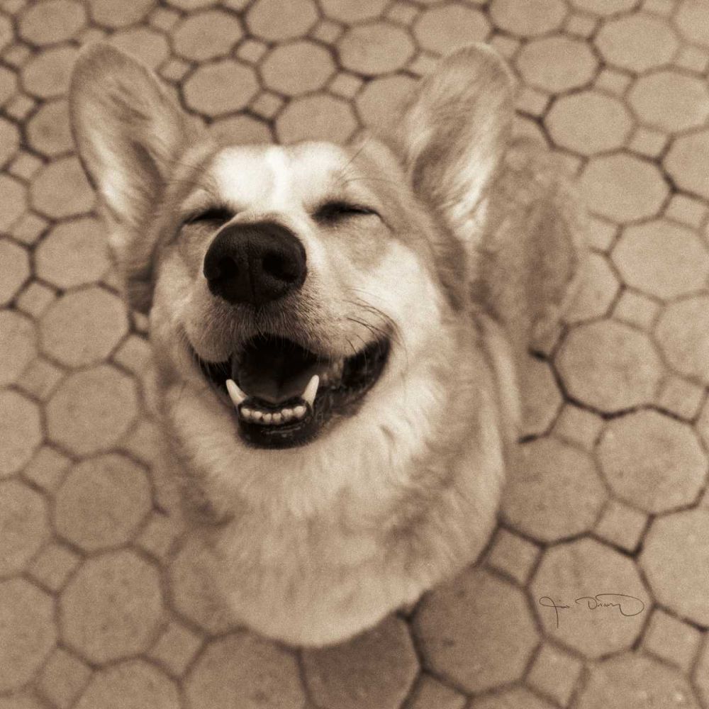 Smile and The World Smiles with You Crop art print by Jim Dratfield for $57.95 CAD