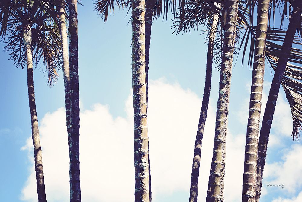 Palms art print by Sharon Vardy for $57.95 CAD