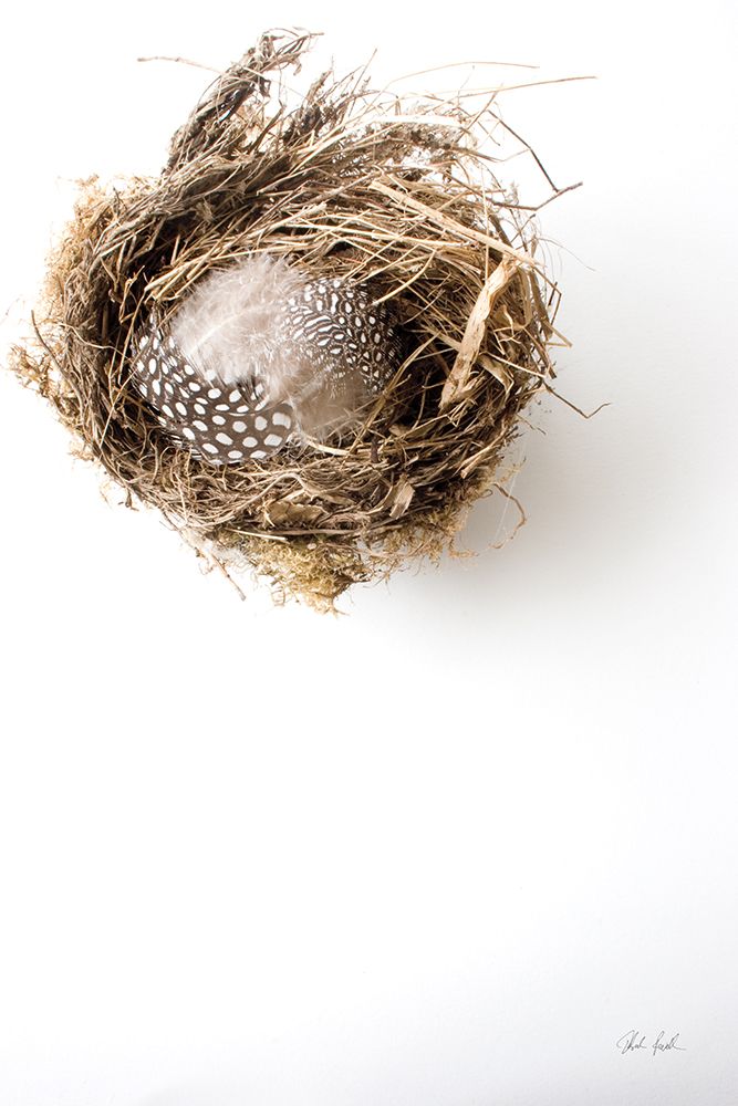 Empty Nest art print by Deborah Revell for $57.95 CAD