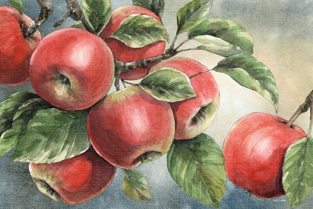 Wild Apples art print by Leslie Trimbach for $57.95 CAD