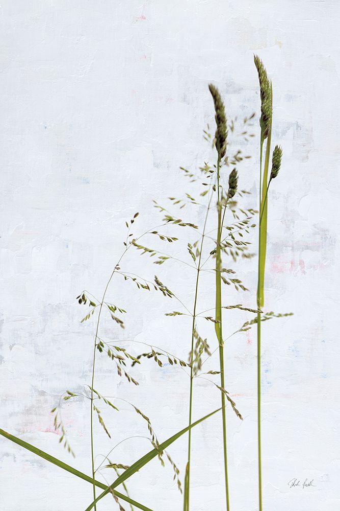 Meadow Greenery art print by Deborah Revell for $57.95 CAD