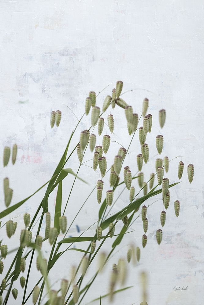 Quaking Grass art print by Deborah Revell for $57.95 CAD