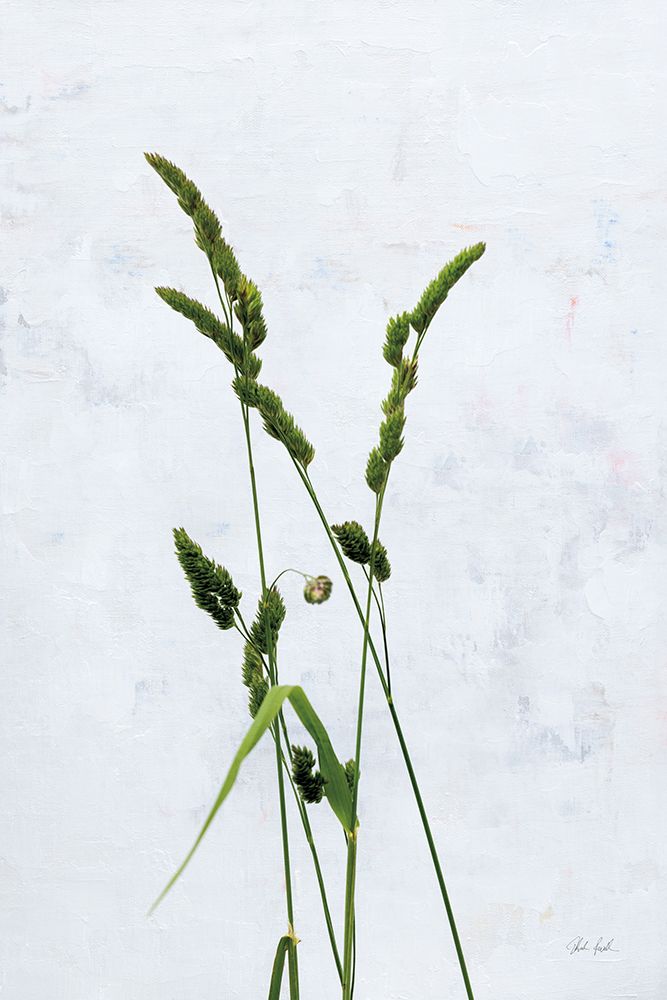 Cat Grass art print by Deborah Revell for $57.95 CAD