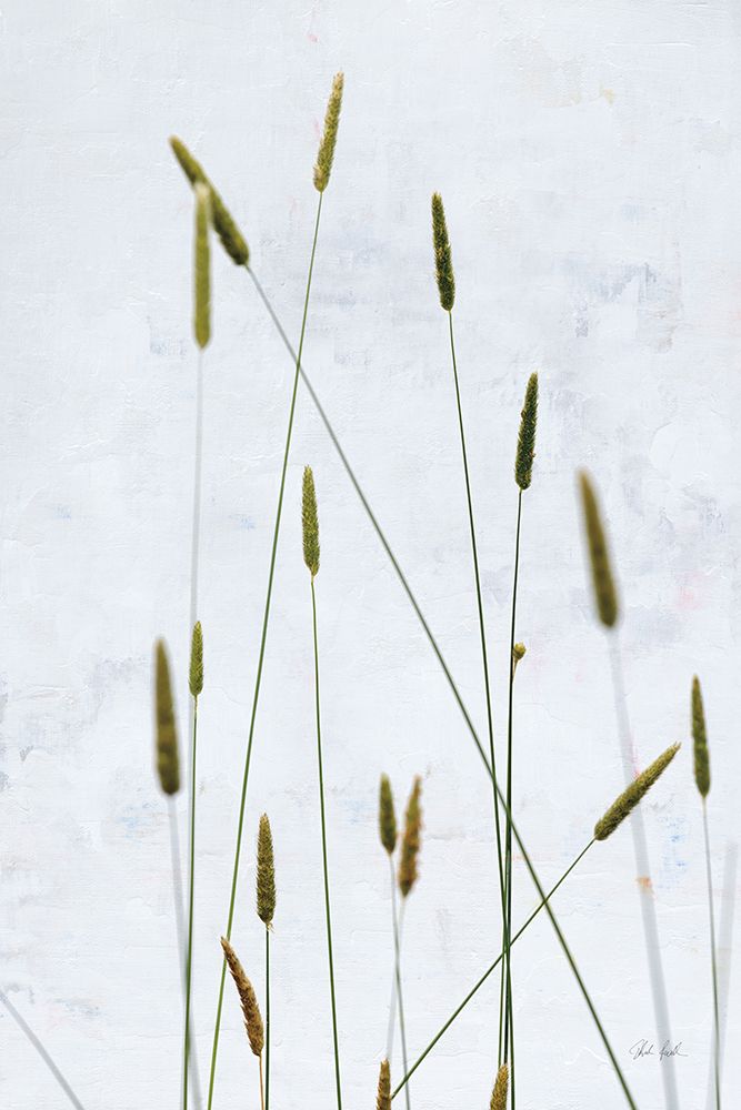 Timothy Grass art print by Deborah Revell for $57.95 CAD