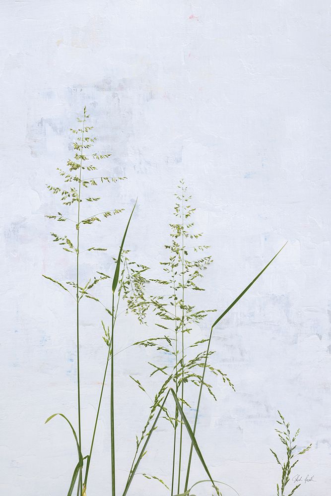 Yellow Oat Grass art print by Deborah Revell for $57.95 CAD