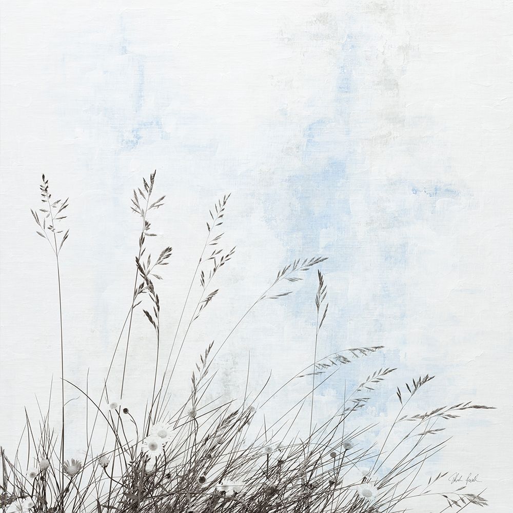 Daisy Meadow art print by Deborah Revell for $57.95 CAD