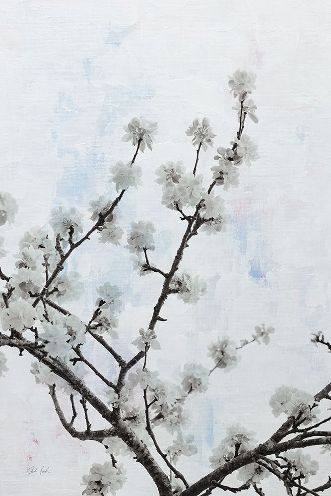 Swiss Blossom art print by Deborah Revell for $57.95 CAD