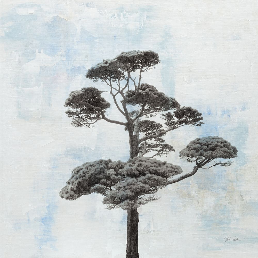 Salcombe Tree art print by Deborah Revell for $57.95 CAD