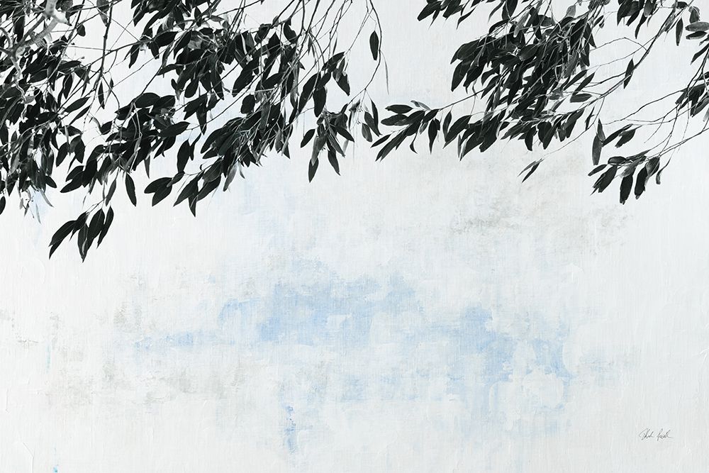 Eucalyptus art print by Deborah Revell for $57.95 CAD