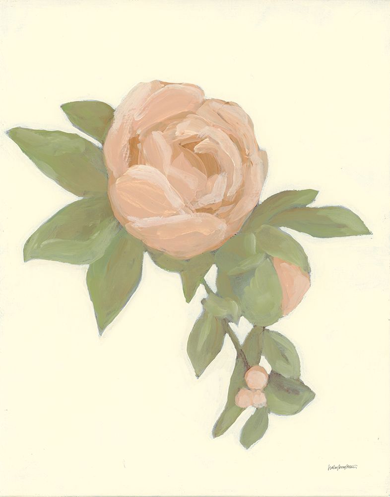 Sweet Peony art print by Haley Knighten for $57.95 CAD