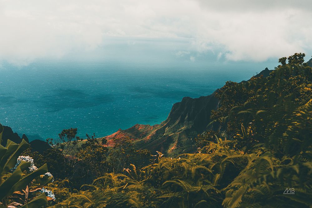Beauty of Hawaii art print by Max Blakesberg Studios for $57.95 CAD