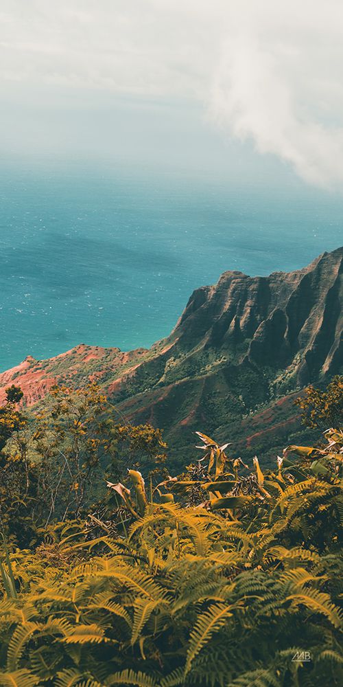 Hawaiian View art print by Max Blakesberg Studios for $57.95 CAD