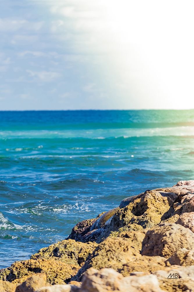 Serene Sea art print by Max Blakesberg Studios for $57.95 CAD