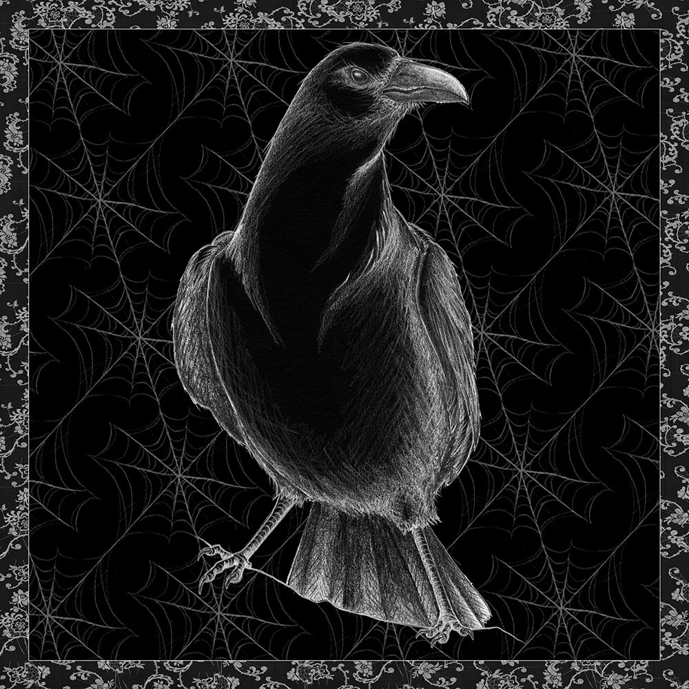 Arsenic and Old Lace BW No Words I art print by Wild Apple Portfolio for $57.95 CAD