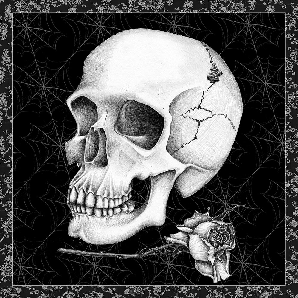 Arsenic and Old Lace BW No Words III art print by Wild Apple Portfolio for $57.95 CAD