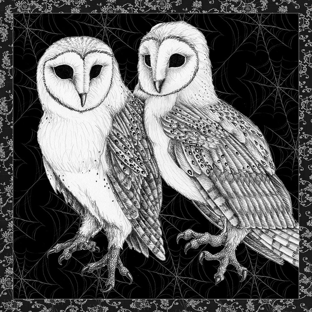 Arsenic and Old Lace BW No Words IV art print by Wild Apple Portfolio for $57.95 CAD