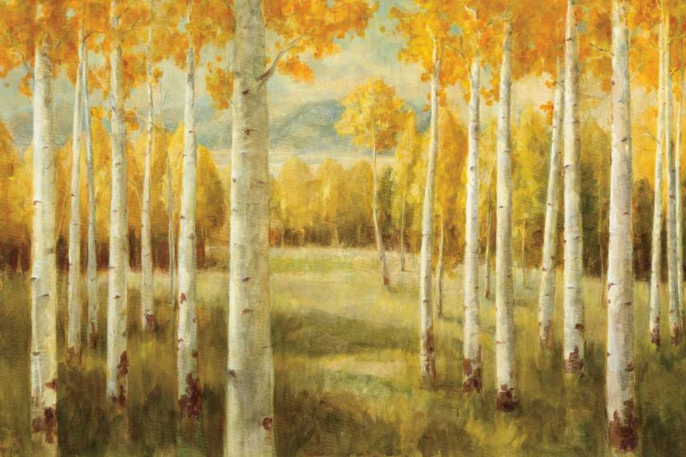 Aspens art print by Danhui Nai for $57.95 CAD