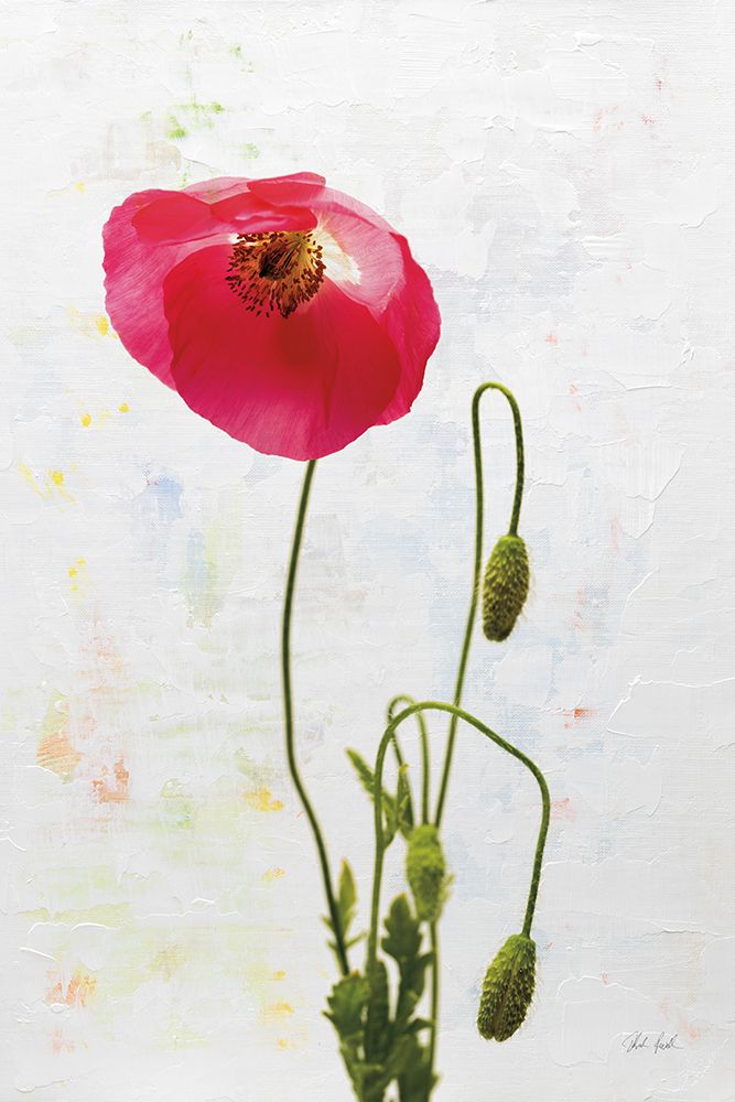 Wonderful Wildflowers I art print by Deborah Revell for $57.95 CAD