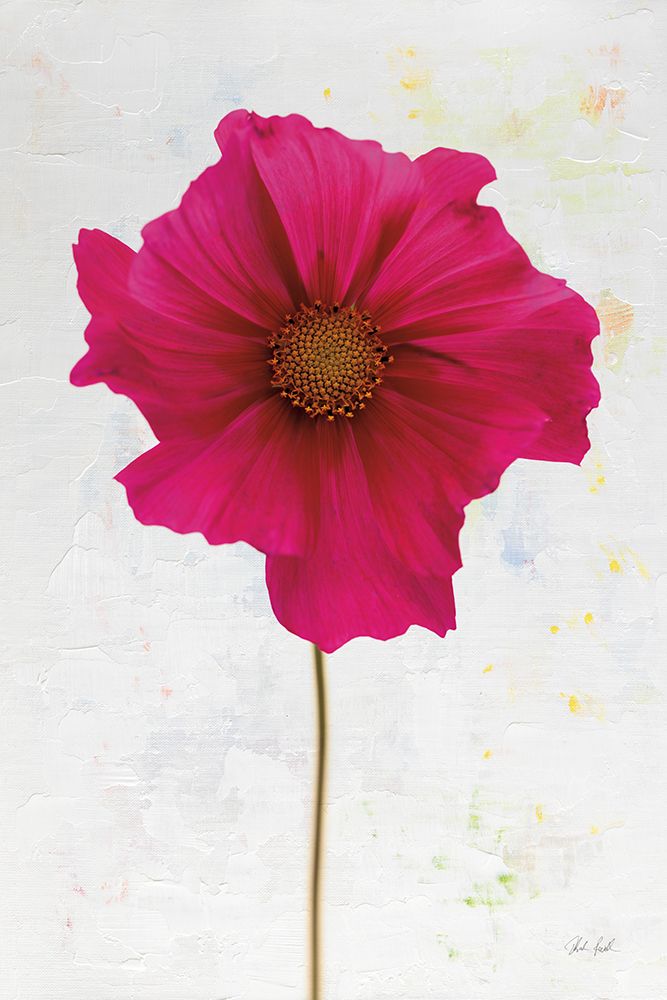 Wonderful Wildflowers II art print by Deborah Revell for $57.95 CAD