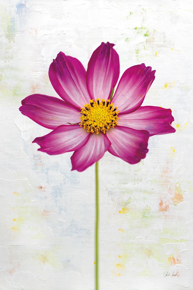 Wonderful Wildflowers IV art print by Deborah Revell for $57.95 CAD