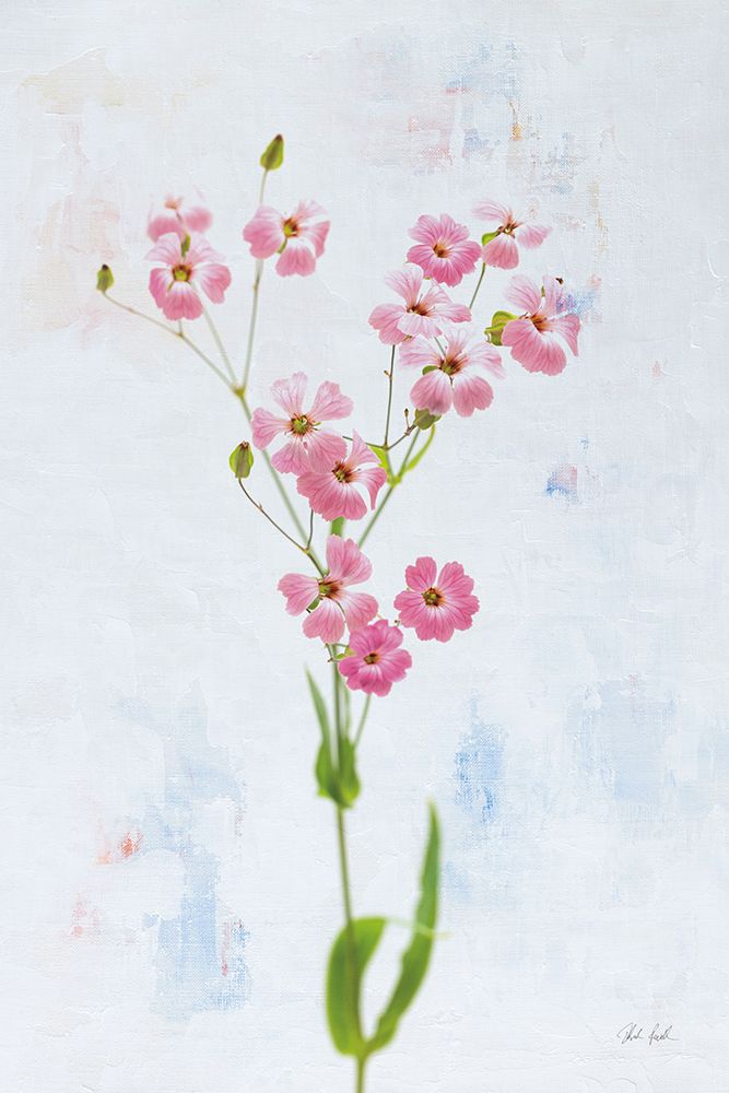Wonderful Wildflowers XV art print by Deborah Revell for $57.95 CAD