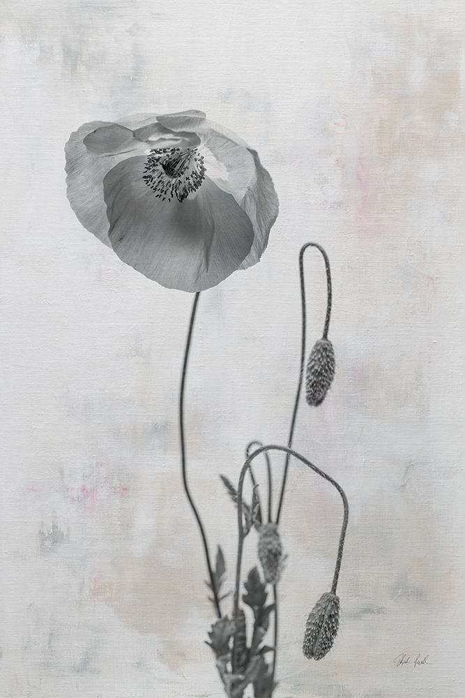 Wonderful Wildflowers I Neutral art print by Deborah Revell for $57.95 CAD