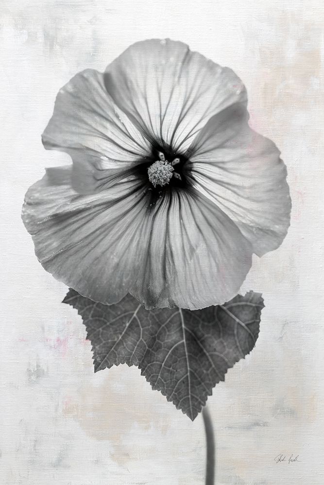 Wonderful Wildflowers III Neutral art print by Deborah Revell for $57.95 CAD