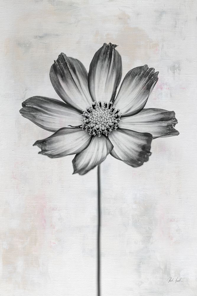 Wonderful Wildflowers IV Neutral art print by Deborah Revell for $57.95 CAD