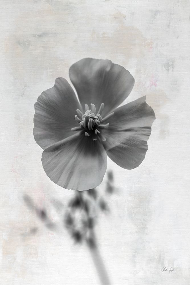 Wonderful Wildflowers V Neutral art print by Deborah Revell for $57.95 CAD