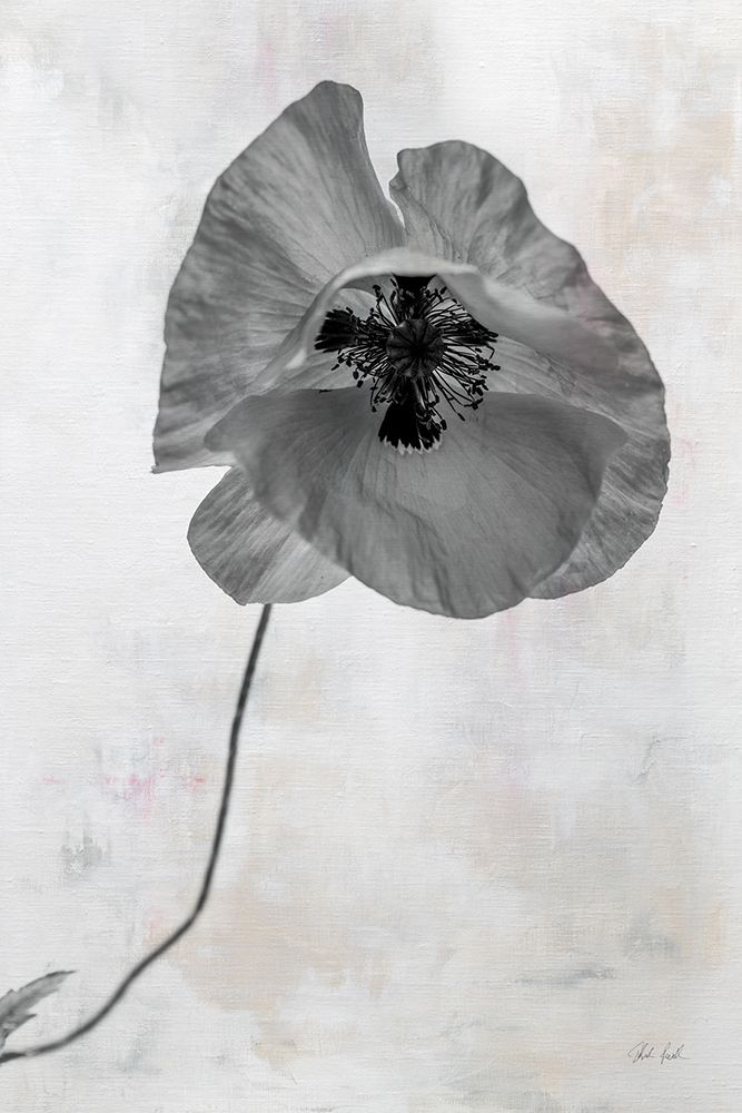 Wonderful Wildflowers VII Neutral art print by Deborah Revell for $57.95 CAD