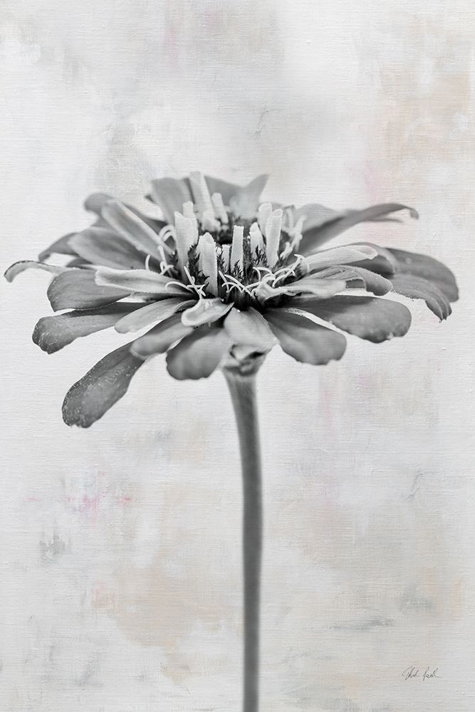 Wonderful Wildflowers IX Neutral art print by Deborah Revell for $57.95 CAD