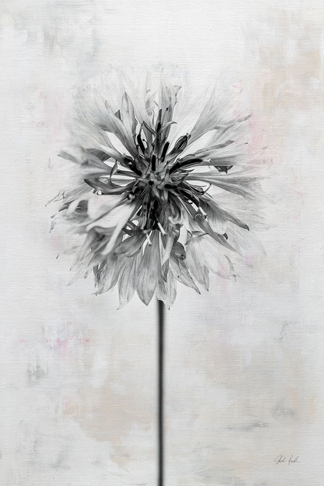 Wonderful Wildflowers X Neutral art print by Deborah Revell for $57.95 CAD