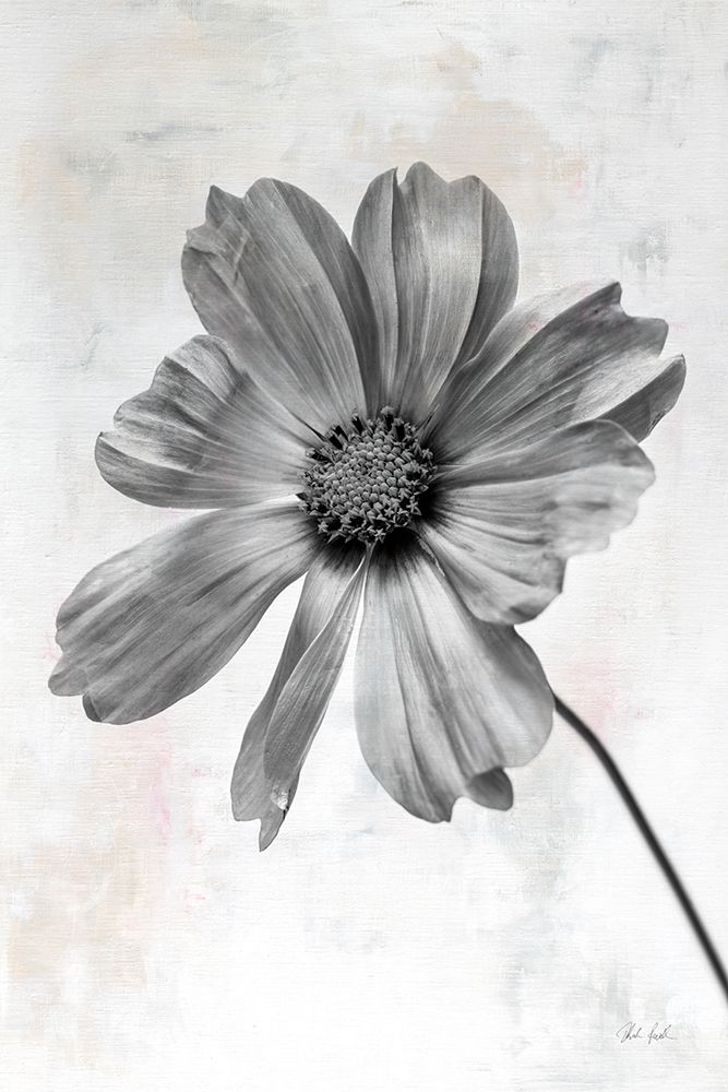 Wonderful Wildflowers XII Neutral art print by Deborah Revell for $57.95 CAD