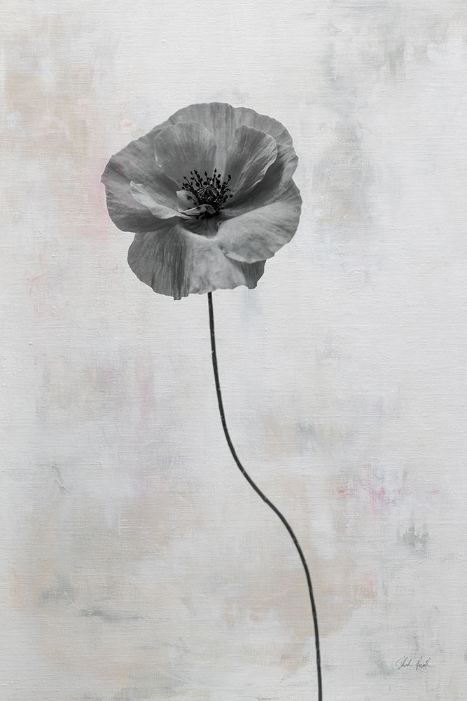 Wonderful Wildflowers XIII Neutral art print by Deborah Revell for $57.95 CAD