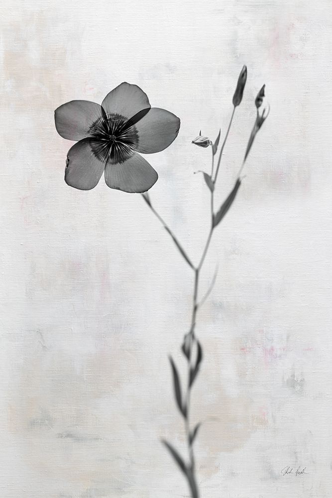 Wonderful Wildflowers XIV Neutral art print by Deborah Revell for $57.95 CAD
