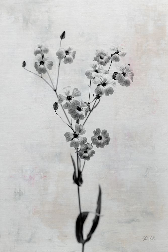 Wonderful Wildflowers XV Neutral art print by Deborah Revell for $57.95 CAD