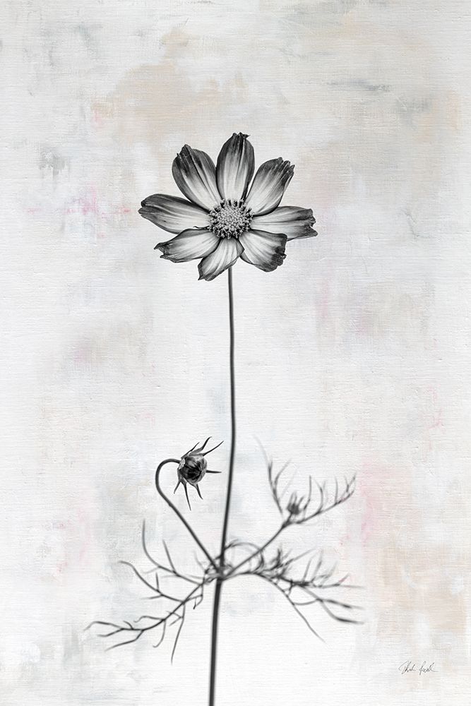 Wonderful Wildflowers XVI Neutral art print by Deborah Revell for $57.95 CAD