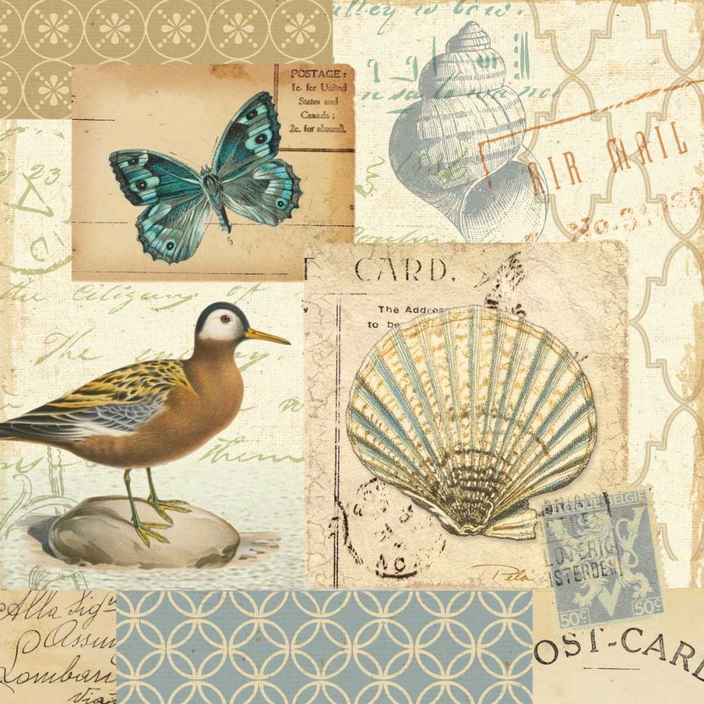 Coastal Collage I art print by Pela for $57.95 CAD