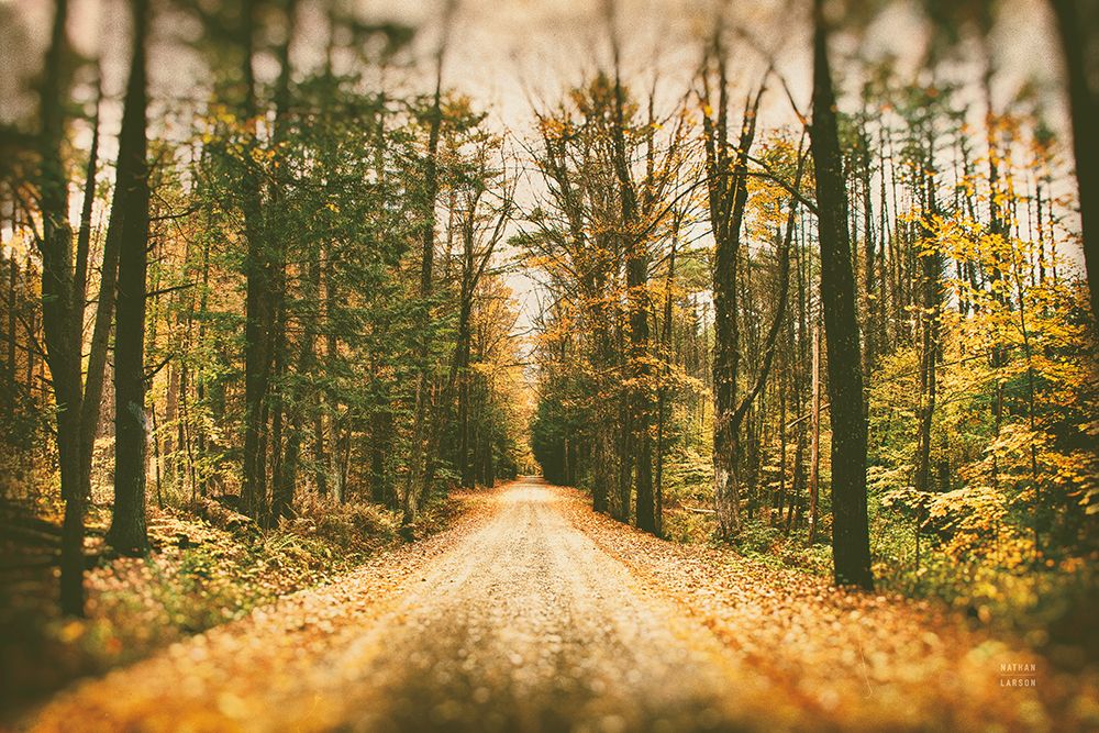 Faded Road art print by Nathan Larson for $57.95 CAD