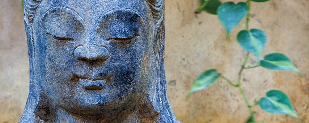 Buddha Close Up art print by Deborah Revell for $57.95 CAD