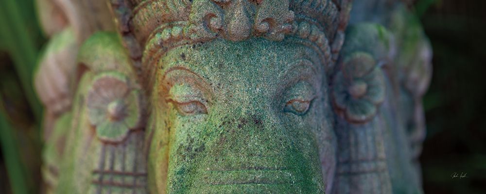 Ganesha Close Up art print by Deborah Revell for $57.95 CAD