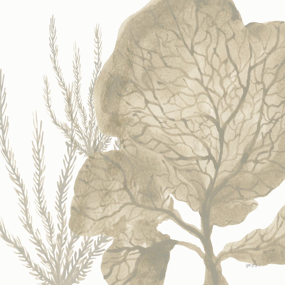 Coastal Reef VII art print by Yvette St. Amant for $57.95 CAD