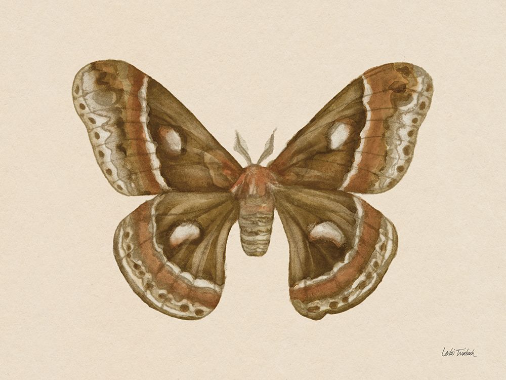 Spooky Halloween Moth I art print by Leslie Trimbach for $57.95 CAD