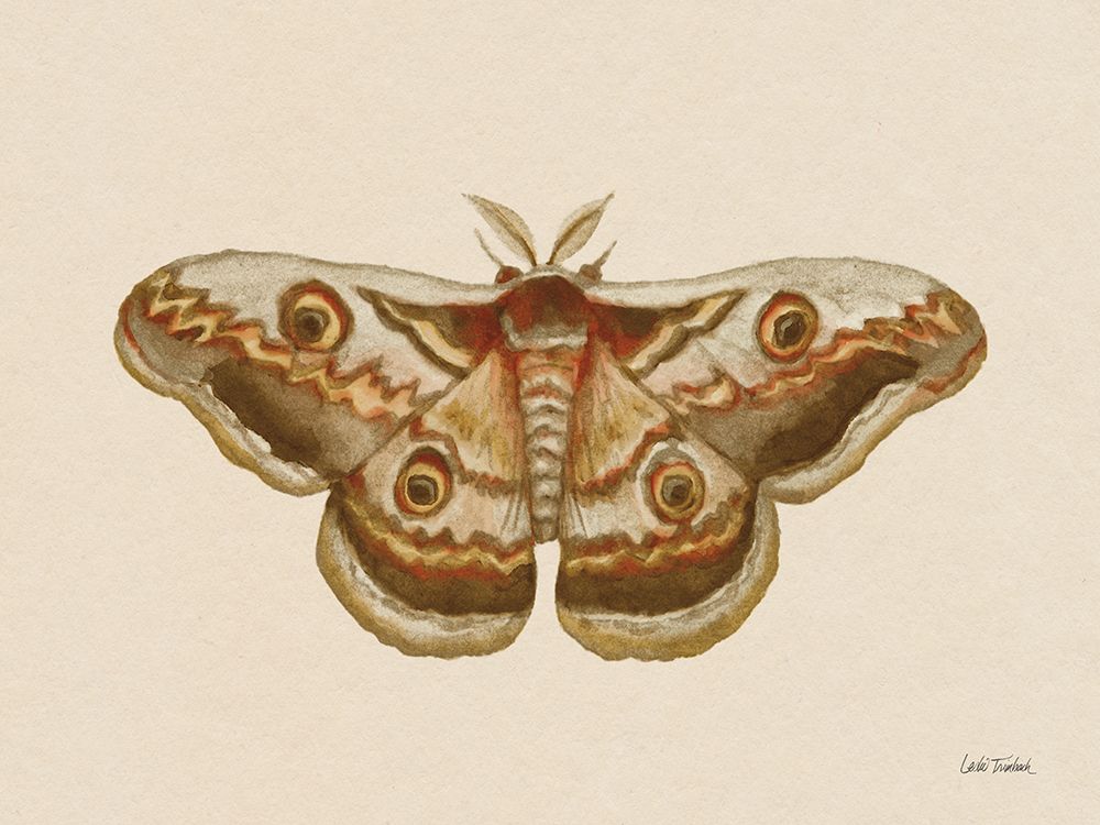 Spooky Halloween Moth II art print by Leslie Trimbach for $57.95 CAD
