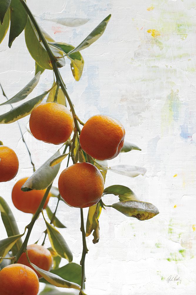 Oranges III art print by Deborah Revell for $57.95 CAD