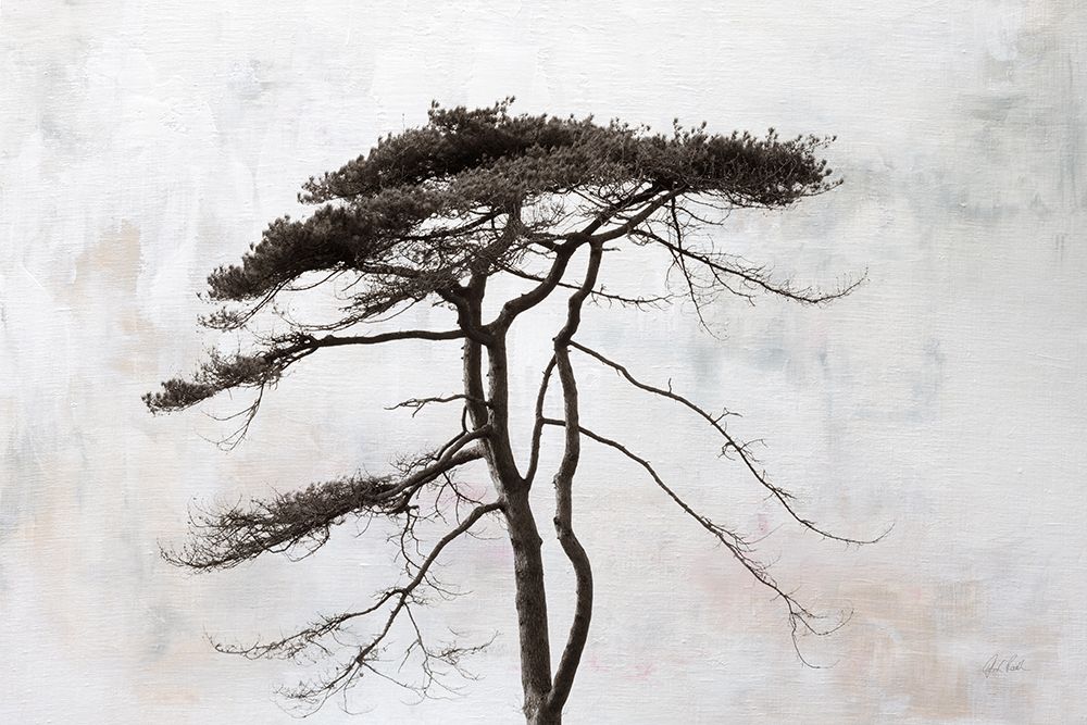 Stokenham Tree art print by Deborah Revell for $57.95 CAD